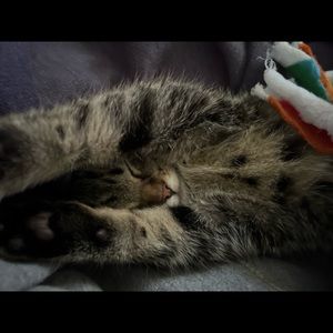 Meet your Posher, Jay